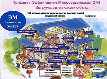 Вебинар с ЭМ-Центр «Эффективные и экологичные решения по уборке»